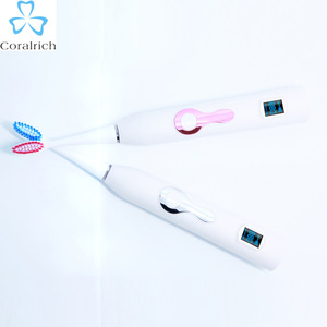 Dental Care Oral Hygiene 110-240V Toothbrush Electric China