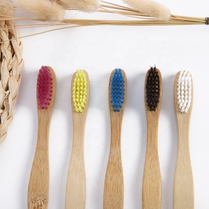 Eco Friendly 100% biodegradable bamboo toothbrush 10pack