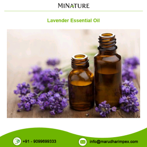 Leading Exporter of Wholesale Pure Lavender Essential Oil at Low Price