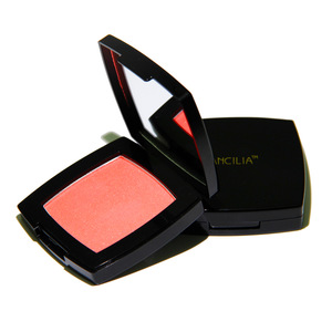 New fashion blush kit OEM make your own blush