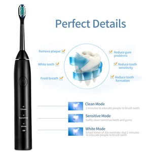 Oral hygiene personalized electric toothbrush USB charging Rechargeable OEM Adult Smart IPX7 sonic Automatic Dental toothbrush