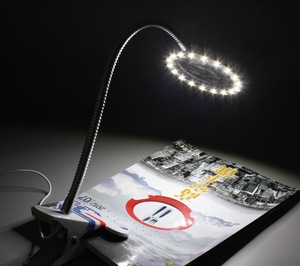 popular fashionable New design gooseneck clip reading lamp magnifier LED light bed light USB desk lamp