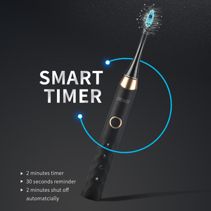 SEAGO SG987-2 New arrival Patented IPX7 Rechargeable Electric Sonic toothbrush with replacement toothbrush head