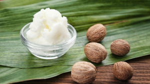 Shea Butter Wholesaler