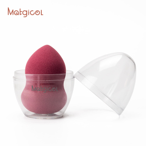 Top 5  wholesale private label  beauty cosmetics blender  makeup sponge  with  package of eggshell