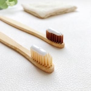 Wholesale CE-ROHS certificate reusable biodegradable organic charcoal bamboo toothbrush with packaging