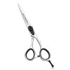 Hair Scissors 6'' 6.5" JP Steel Hair Cutting Scissors Barber Hair Shears Hairdressing Scissors Sliver Screw