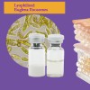 Lyophilized Euglena Exosomes