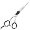 Hair Scissors 6'' 6.5" JP Steel Hair Cutting Scissors Barber Hair Shears Hairdressing Scissors Sliver Screw