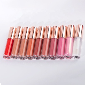 10 Color Private Label Vegan Lip Gloss Lip Plumper