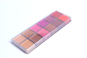 Create your own brand trendy 12colors private label acrylic blush organizer blush palette