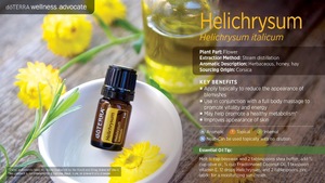 Helichrysum Oil - 100% Pure and Natural Therapeutic Grade Private Label Essential Oil