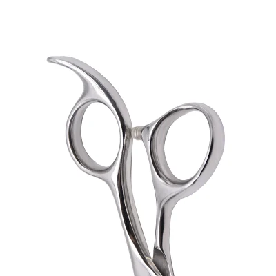 Hot Sell Factory Direct Supply High-Quality 6&quot; Hair Scissors