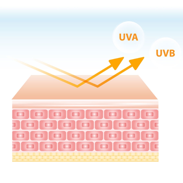 Niacinamide sunscreen, Sun cream SPF50+ PA++++, UV protection, whitening, wrinkle improvement