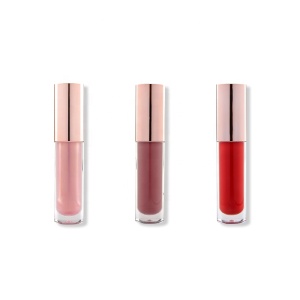 Wholesale Price Custom Lip Gloss With Brush Applicator Lip Plumper Gloss