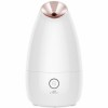 Penguin face steam machine / Fashion appearance design more experience Penguin face steam machine