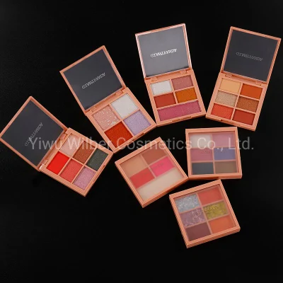 6 Colors Long Lasting Eyeshadow Palette Shimmer Matte and Pearlized