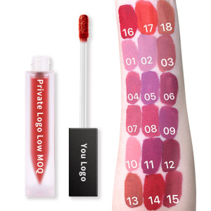 Custom logo velvet matte liquid lipstick oem cosmetic plumping lipgloss pigment clear private label lip gloss