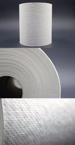 customize 10*10cm roll Toilet Tissue 17g 2layer