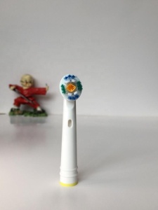 EB18P ProWhite toothbrush heads