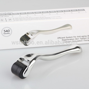 Multifunctional Micro Needle 540 Titanium Machine Skin Therapy System