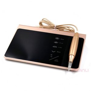 New Painless Permanent Makeup Machine With Double Pen Controller Premium Charmant Permanent Makeup Machine Korea