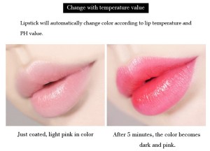 Organic Lipstick Makeup Beauty Factory Wholesale  Moisturizing Waterproof Lipstick