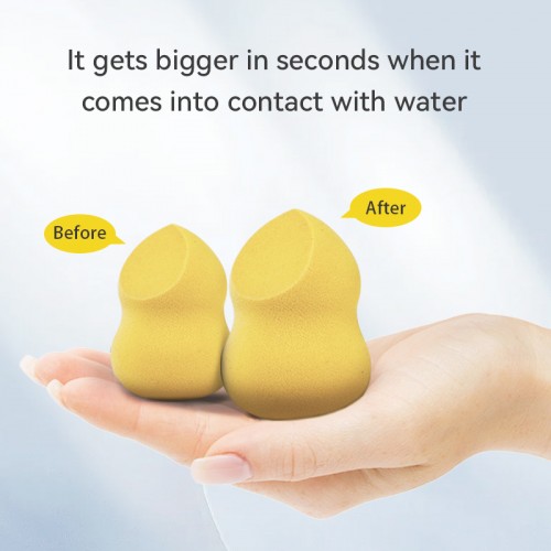 Angled Cut Hourglass Wet and Dry Beauty Sponge