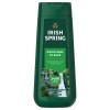 Irish Spring Body Wash, 20 OZ