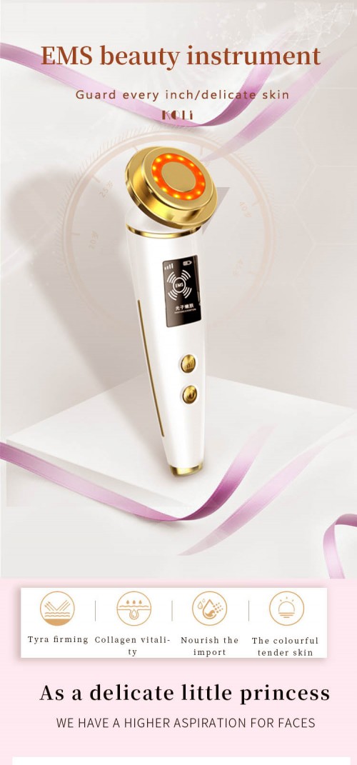 skin care tool/ Sain Multifunctional Facial Beauty Instrument Whitening Firming Face EMS Massager Skin Care