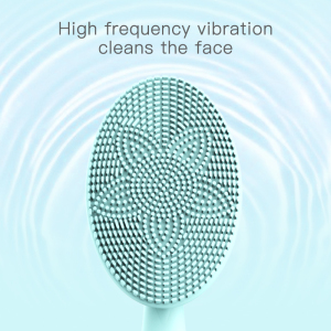 Amazon Top Sell Custom Household Electric Silicone Facial Pro Cleansing Brush