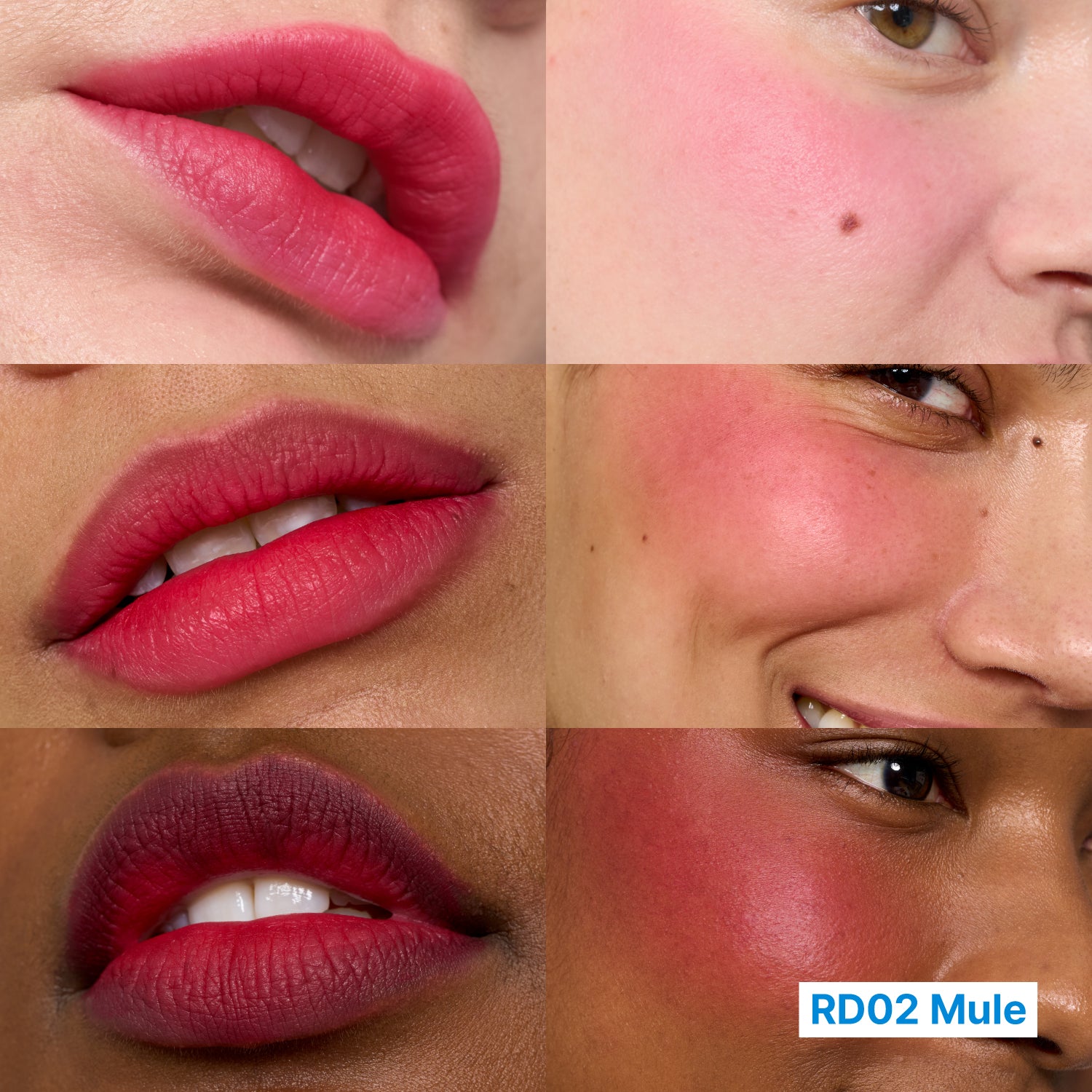 (Fwee) Lip&amp;Cheek Blurry Pudding Pot [RD02 Mule] 5g