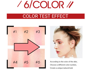 Hot selling O.TWO.O professional Facial Blush Powder Makeup Blush 6 colors