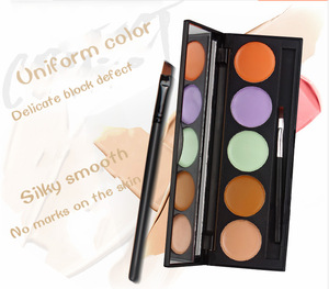 Multi function professional 5 color concealer