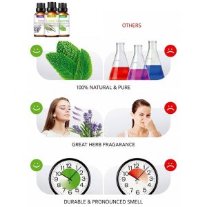 Oem And Odm Essential Oil For Aromatherapy Pure Essential Oil