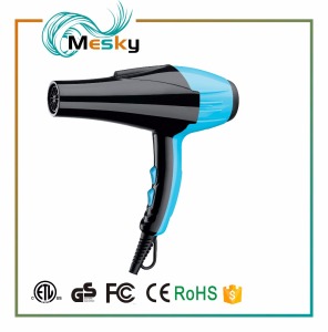 Professional 2300W hair blow dryer price cold and hot air hair dryer